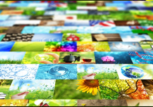 Inefficient publishing process